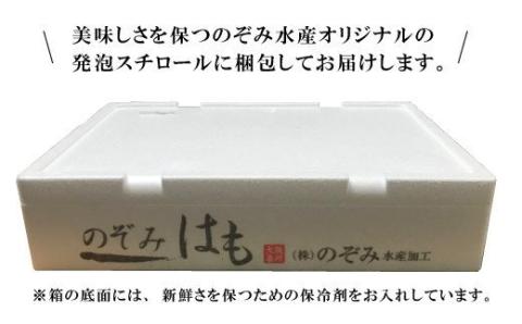 北海道産 （噴火湾） 揚げるだけ ホタテ貝 フライ （約500g） ほたて 帆立 ほたてフライ 帆立フライ 冷凍 国産 おかず 揚げ物 簡単調理 大阪府 阪南市