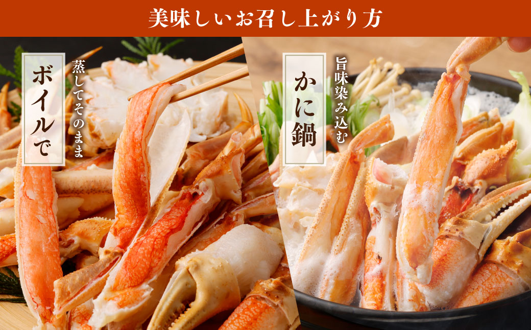 生 ズワイ蟹 鍋 3点セット 1kg