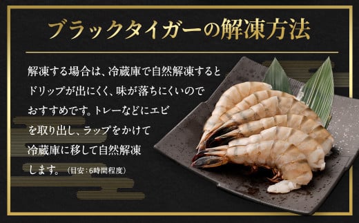 特大 ブラックタイガー 無頭えび 1.7kg前後（45尾 ）