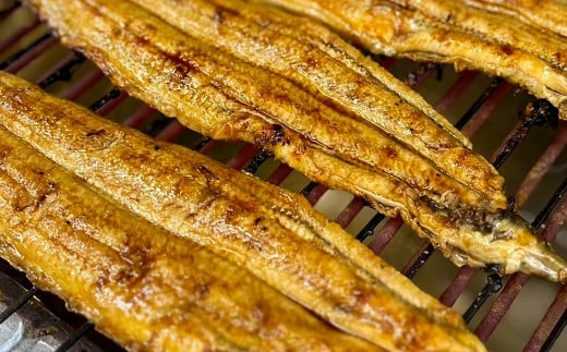 うなぎ棒寿司 1本 （約400g） 鰻 うなぎ ウナギ 棒寿司 棒すし 寿司 鰻寿司 魚 国産 大阪府 阪南市 冷蔵