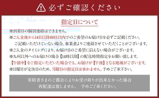かすみ草花束 Sサイズ