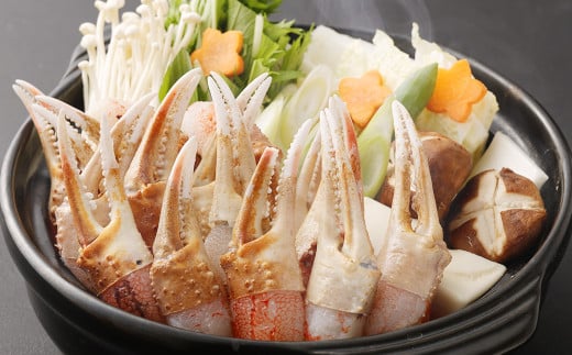 生ずわい蟹 カニ爪肉 500g （8 ～ 25本） 【8】