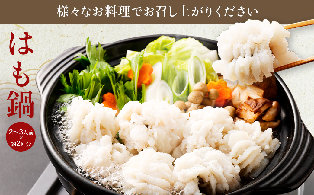 のぞみ水産 活〆 骨切り 生鱧 1kg 【2025年5月上旬から12月上旬発送予定】