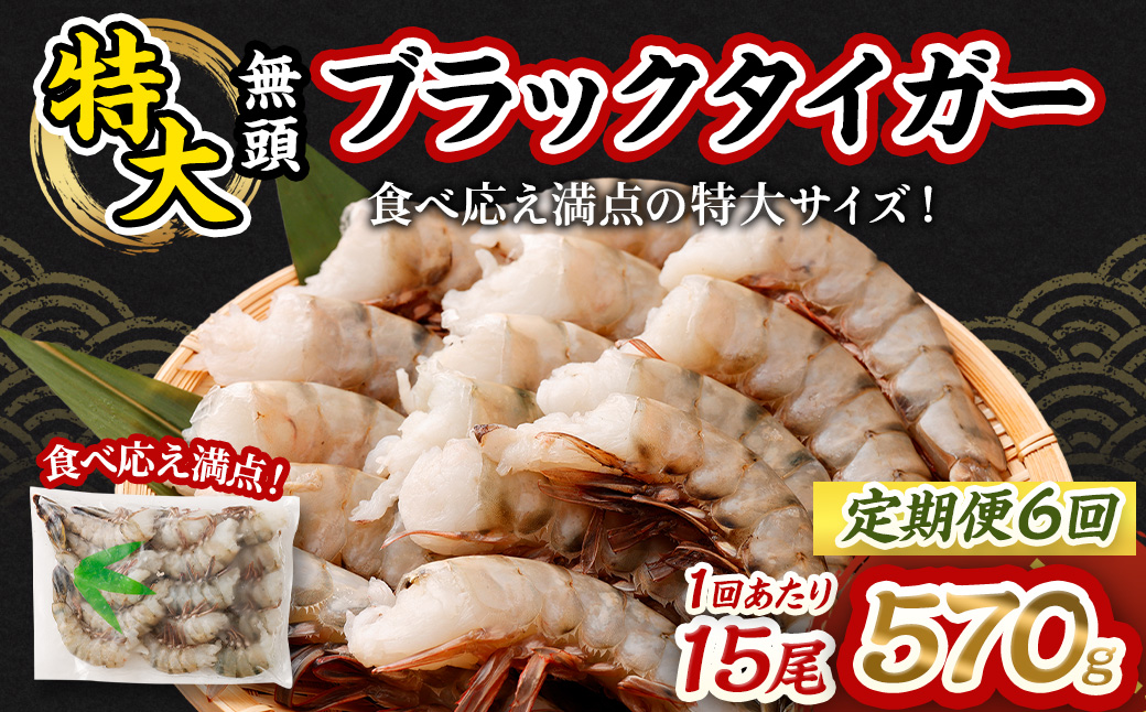【6回定期便】特大 ブラックタイガー 無頭えび ｜海老 えび エビ ブラックタイガー