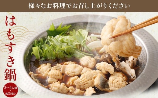 のぞみ水産 潮氷締め（野〆） 骨切り ピンク生鱧 約1kg 寒ハモ 【2025年12月上旬～2026年2月上旬発送予定】 鱧 はも ハモ 新鮮 冷蔵