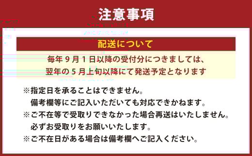【先行予約】水なすの浅漬け 12個 +水ナスコンフィチュール （期間限定）【2026年5月上旬から9月上旬発送予定】｜浅漬け 漬物 つけもの 野菜 水なす 水ナス 水茄子 なす ナス 茄子 泉州水なす 大阪府 阪南市