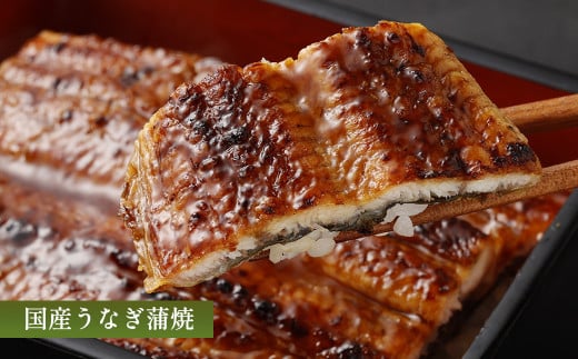 【はんなん旨いもん】定期便（鯛めし・うなぎ蒲焼・たこ飯・かに鍋）全4回