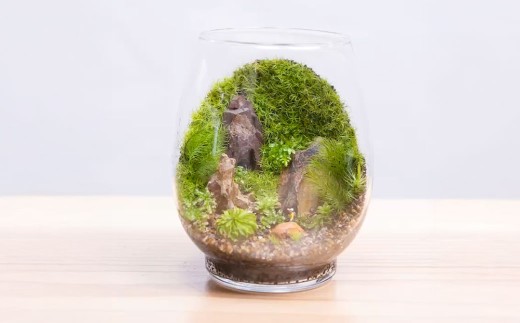 匠の土 崩れま宣言 3kg（1kg×3袋） つち 苔テラリウムアート アクアリウム ソイル