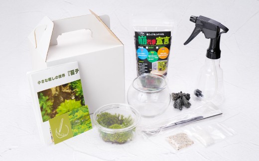 癒やしと安らぎ 苔テラリウムキット ガラスボール容器 コケ5種類 石 苔テラリウム用SOIL 飾り砂 ピンセット 霧吹き スプーン 作り方＆育て方説明書 制作キット