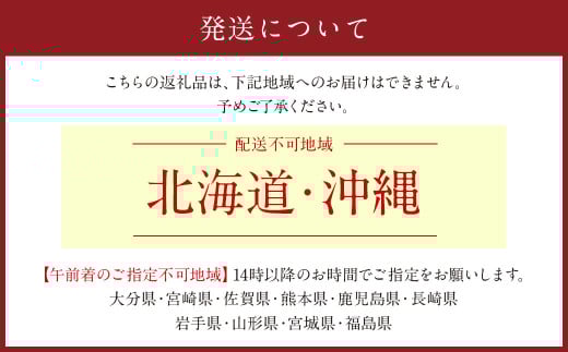 【12ヶ月定期便】季節のお花定期便（フラワーアレンジメント）