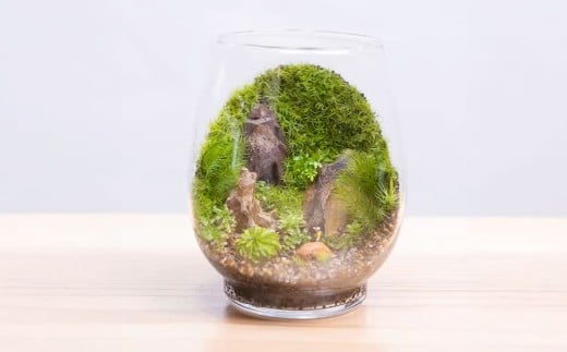 匠の土 崩れま宣言 1kg（1袋） つち 苔テラリウムアート アクアリウム ソイル