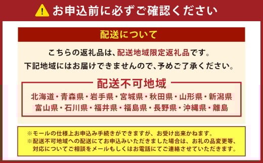 【2025年12月31日着】冷蔵 至高の匠重 特大三段重おせち おせち料理 おせち 三段重 3～4人前 27品目 おせち2026 おせち料理2026