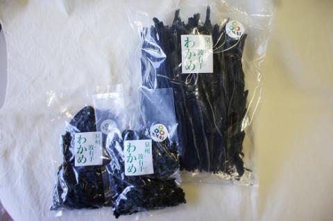 漁師がお届け 塩蔵わかめ 500g と 乾燥わかめ 200gセット 計700g わかめ 国産 詰め合わせ