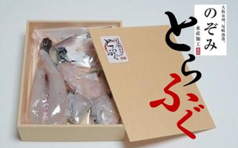 のぞみふぐ(トラフグ)1尾