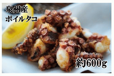 大阪産 泉タコ （ボイルたこ） 600g （1杯～3杯）×1袋 【2024年7月上旬より順次発送】 魚介類 海鮮 タコ ゆで 冷凍