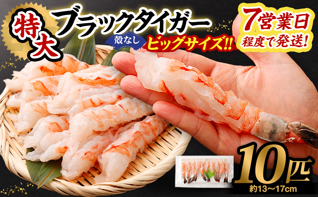 特大ブラックタイガー 殻なし ビッグサイズ(10匹) 【入金確認後7営業日程度で発送】｜ エビ えび 海老 ブラックタイガー むきえび むきエビ 冷凍