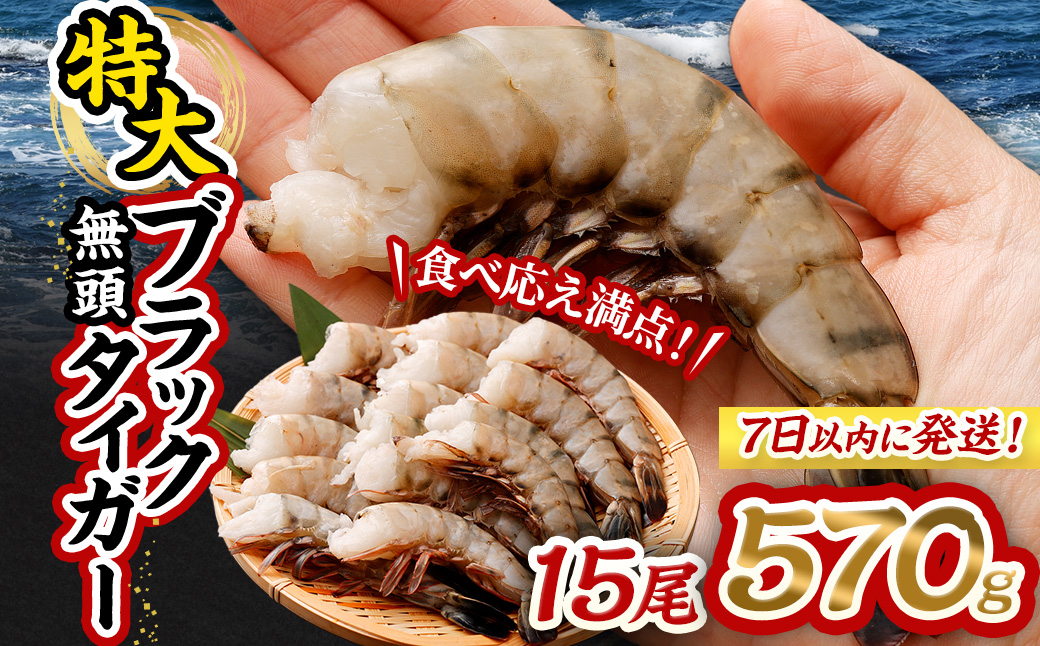 特大 ブラックタイガー 無頭えび 570g前後（15尾）【入金確認後7日以内で発送】 ｜海老 えび エビ ブラックタイガー 海鮮 魚介 殻付き 冷凍 大阪府 阪南市