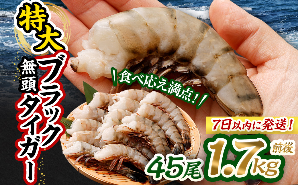 特大 ブラックタイガー 無頭えび 1.7kg前後（45尾 ）【入金確認後7日以内で発送】 ｜ 海老 えび エビ ブラックタイガー 海鮮 魚介 殻付き 冷凍 大阪府 阪南市