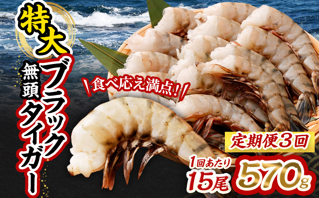 【3回定期便】特大 ブラックタイガー 無頭えび ｜海老 えび エビ ブラックタイガー