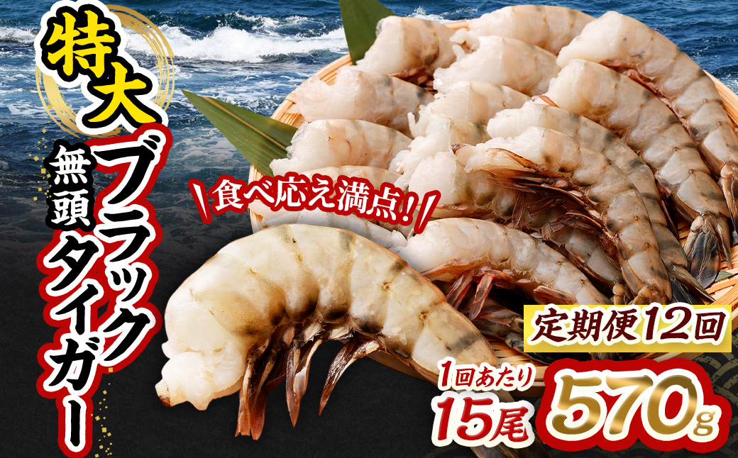 【12回定期便】特大 ブラックタイガー 無頭えび｜ 海老 えび エビ ブラックタイガー