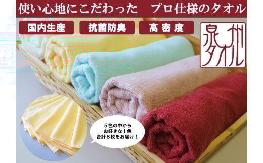 泉州タオル 無蛍光 抗菌 カラータオル 選べる1色 8枚入り 240匁 ( オフホワイト )