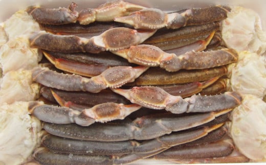 【2025年12月17日迄に入金確認で年内配送】生ずわい蟹 5L サイズ 3kg (6 ～ 8肩) 【12】 かに カニ ずわい蟹 しゃぶしゃぶ 鍋 海鮮 BBQ バーベキュー 冷凍【価格改定：12月31日まで】