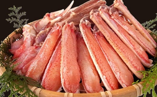 生ズワイ蟹セット カット済 1.2kg  ｜ 海鮮 カニ かに 蟹 ズワイガニ セット かに鍋 鍋 簡単調理 冷凍