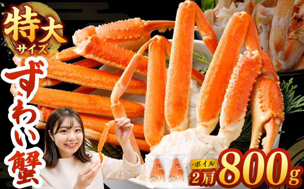 ボイル ズワイ蟹 特大サイズ 2肩 800g  ｜海鮮 カニ かに 蟹 ズワイガニ 冷凍