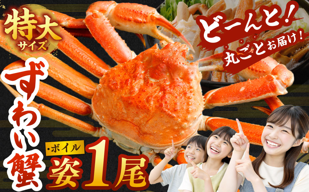 特大 ボイル ズワイ蟹 姿 750g 1尾 ｜ 海鮮 カニ かに 蟹 ズワイガニ かにみそ カニみそ 冷凍