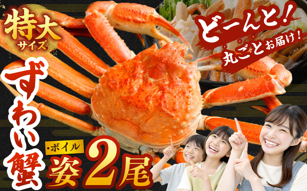 特大 ボイル ズワイ蟹 姿 1.5kg 2尾 ｜ 海鮮 カニ かに 蟹 ズワイガニ かにみそ カニみそ 冷凍
