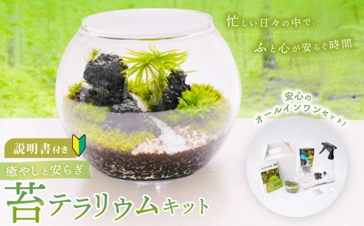 癒やしと安らぎ 苔テラリウムキット ガラスボール容器 コケ5種類 石 苔テラリウム用SOIL 飾り砂 ピンセット 霧吹き スプーン 作り方＆育て方説明書 制作キット