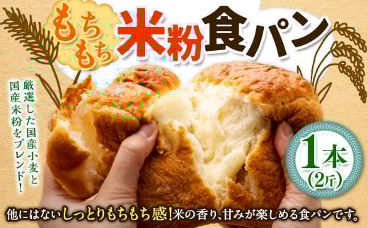 【指定日必須】【月曜指定不可】【6月から9月配送不可】もちもち米粉食パン 1本（2斤） 食パン 米粉パン パン 国産 大阪府 阪南市 冷蔵