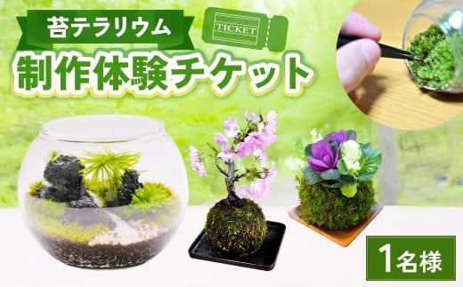 苔テラリウムの制作体験チケット 1名様 苔玉 ワークショップ 苔 コケ 植物