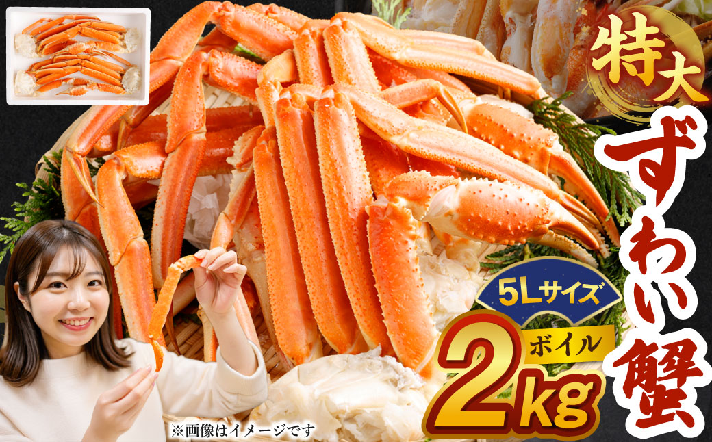 ボイル ズワイ蟹 特大サイズ 5L 2kg  ｜ 海鮮 カニ かに 蟹 ズワイガニ 冷凍
