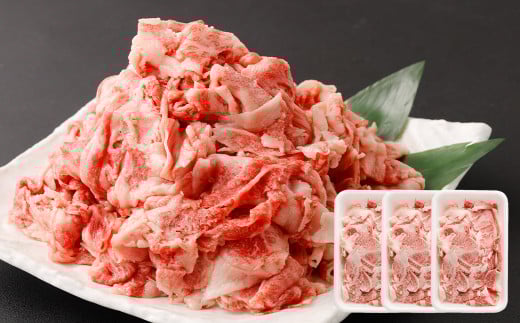 大阪産 和牛 なにわ黒牛 切り落とし 750g