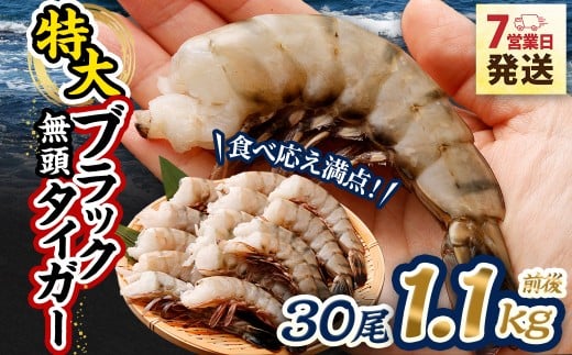 特大 ブラックタイガー 無頭えび 1.1kg前後（30尾）