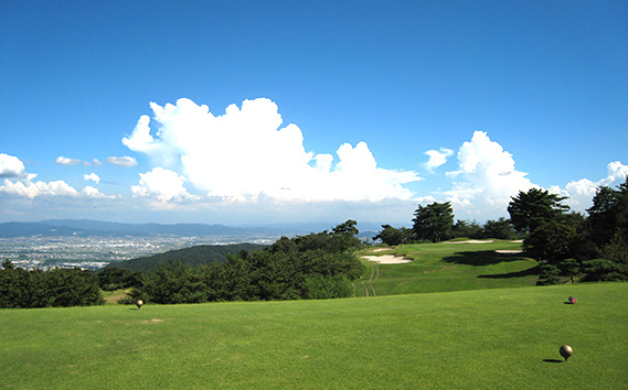 ベニーカントリー倶楽部 土日祝プレー特別優待券（1名様×1枚） ／ ゴルフ ゴルフコース プレー券 ゴルフ場 ゴルフ場利用券 特別優待料金 優待券 チケット 券 スポーツ 運動 大阪府