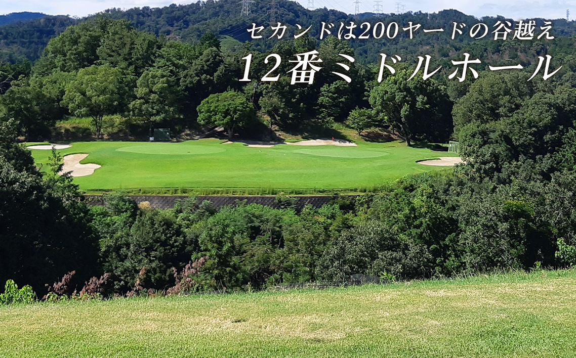 新大阪ゴルフクラブ平日別優待プレー券（1名様×1枚） ／ ゴルフ ゴルフコース プレー券 ゴルフ場 ゴルフ場利用券 優待券 チケット 券 スポーツ 運動 絶景 大阪府