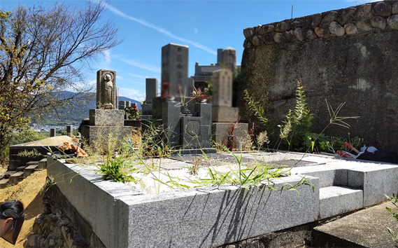 お墓清掃サポート業務 ／ チケット お墓管理 屋外確認 墓石清掃 区画内草引き 代行業務 大阪府