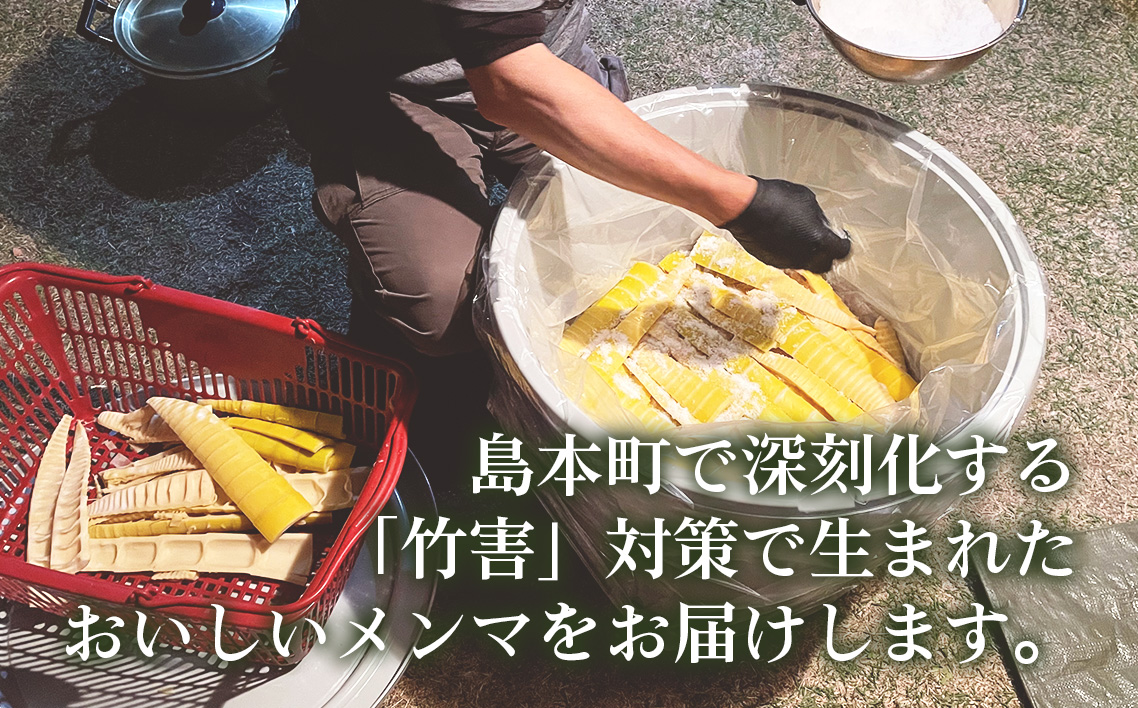 純国産島本メンマ（ごま油香るピリ辛中華味）500g