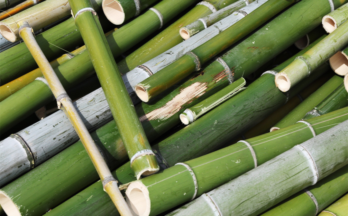 竹炭 中粒バラ 1kg