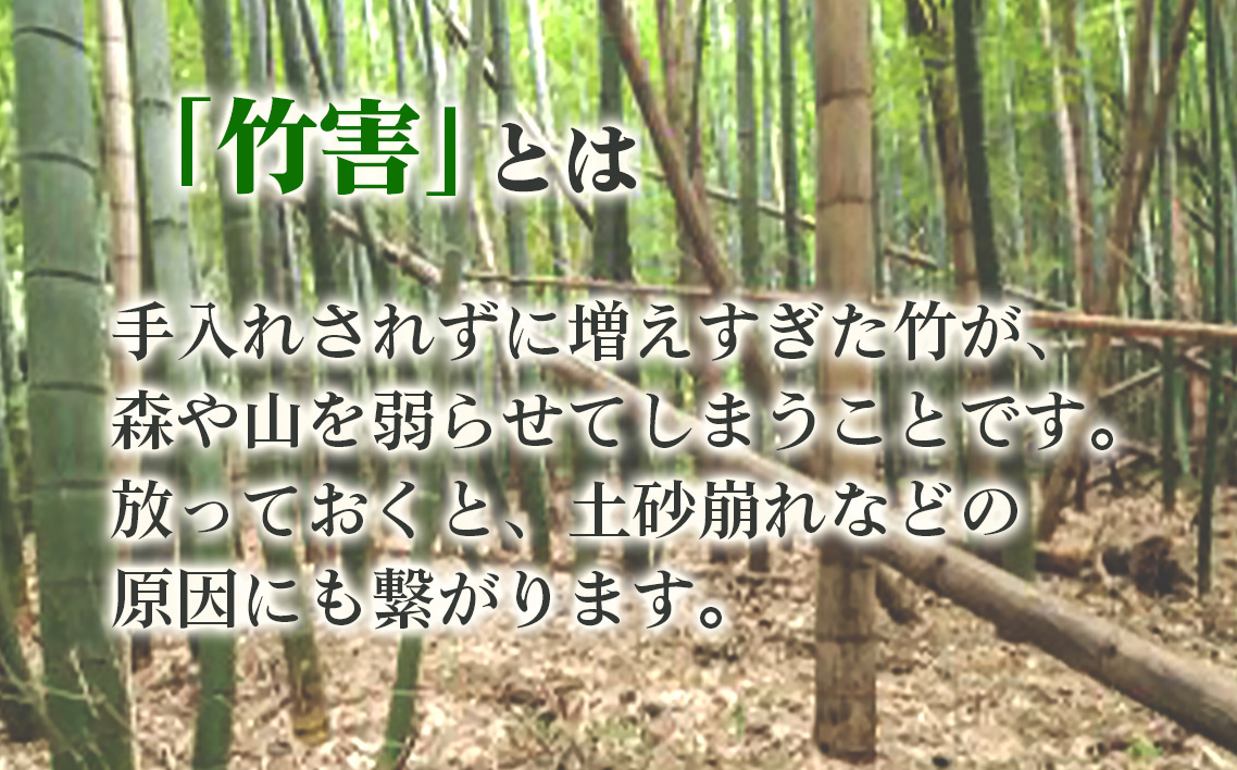 純国産島本メンマ（ごま油香るピリ辛中華味）500g