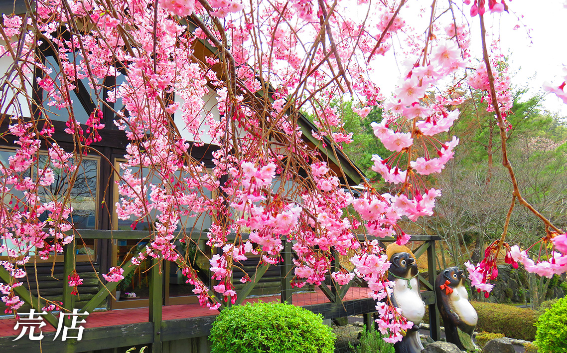 新大阪ゴルフクラブ土日祝日特別優待プレー券（1名様×1枚） ／ ゴルフ ゴルフコース プレー券 ゴルフ場 ゴルフ場利用券 優待券 チケット 券 スポーツ 運動 絶景 大阪府