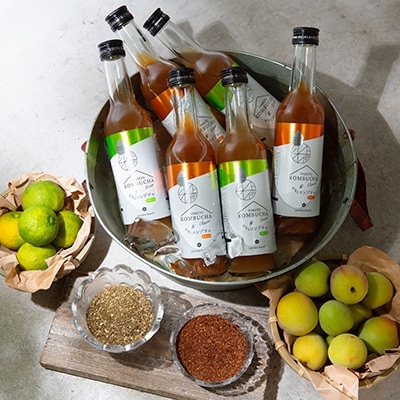 老舗酵素メーカー「大和酵素」が作る、 本物のコンブチャ　(280ml×24本)