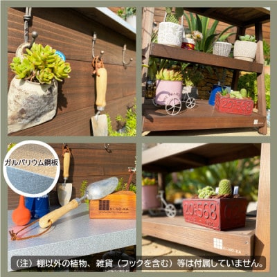 木の香オリジナル多肉植物棚