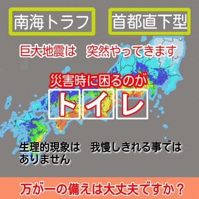 日本製 非常用トイレ トイレ凝固剤 銀イオンのちから 100包セット(防災グッズ　防災トイレ)