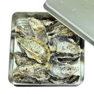 《冷凍殻付》ぷりぷり牡蠣のカンカン焼きセット(約1.6kg～1.8kg|約18個前後)　牡蠣佃煮付き【配送不可地域：離島】