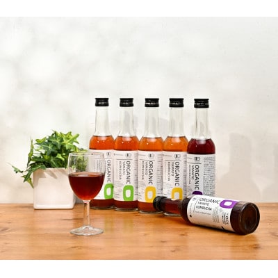 砂糖を使わず「アガベ」で発酵させた3種のオーガニック(有機)コンブチャ　(280ml×24本)