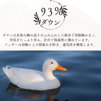 【超長綿100%】羽毛掛け布団ダブル二枚合わせ超長綿使用一年使用可能ダウン93%羽毛ふとん防臭