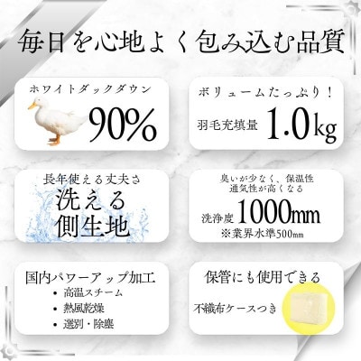 【洗える】羽毛布団シングル 羽毛1.0kg 北欧デザイン グレー抗菌防臭加工あったかい日本製